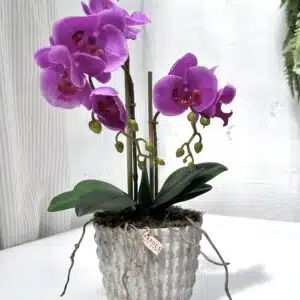 Kapocs Art Home - Orchidea -15x30cm