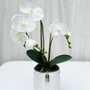 Kapocs Art Home - Orchidea -15x30cm